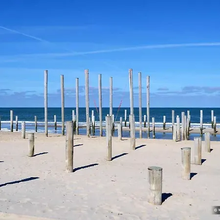 Vida * Petten